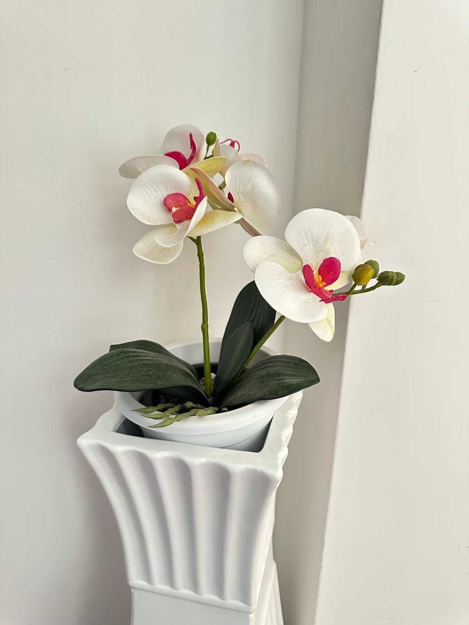 Apartment Trastevere Rome's Heart Charming & Cozy 3 *